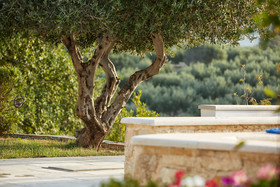 Villa Malvazia