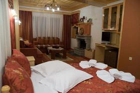 Hotel Asteri Metsovo