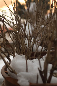 Hotel Asteri Metsovo