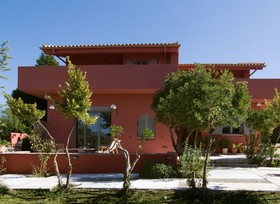 Estate Olive Grove