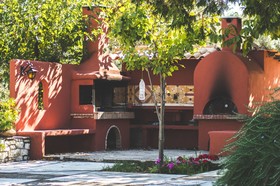 Estate Olive Grove