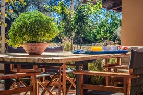 Estate Olive Grove