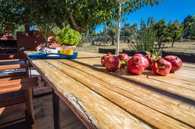 Estate Olive Grove