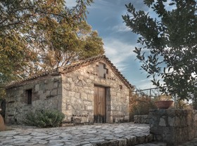 Estate Olive Grove
