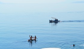Ilia mare