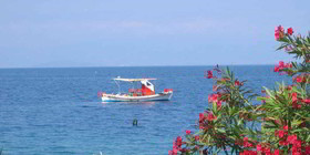 Holidays in Evia