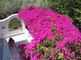 Skyros Junior Studios