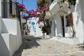 Skyros Junior Studios