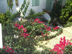 Skyros Panorama Studios