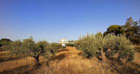 Tramonto Di Olive Gorgeous Villa by VillaRentalsgr