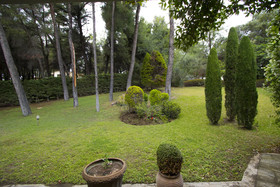 Araucaria Villa