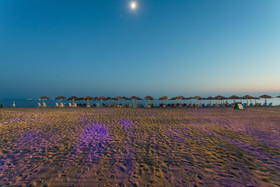 Coral Blue Beach Hotel