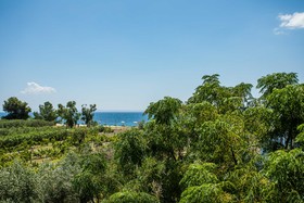 Coral Blue Beach Hotel