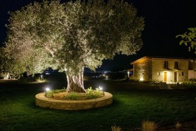 Mint Retreat Suites