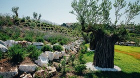 Soleado Luxury Villas