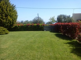 Marios House