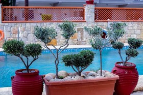 Melis Studios