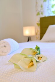 Sani Polyastron Hotel & Spa