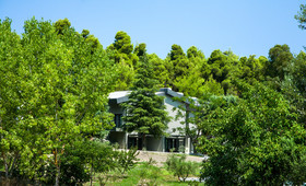 Sani Woods