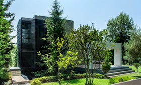 Sani Woods