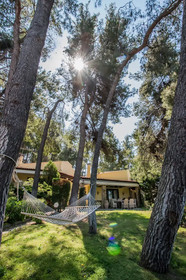 Calypso Luxurious Villa with Pool by halu!