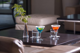 Kassandra Palace Seaside Resort