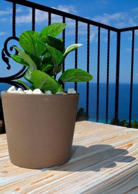 Hotel Palamidi