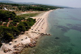 Blue Dolphin Hotel