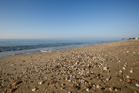 Mavridis