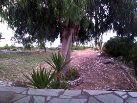 Agrelia House