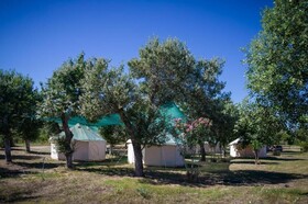Camping Paliouri - Luxury Glamping & Bungalows