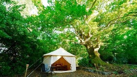 Camping Paliouri - Luxury Glamping & Bungalows