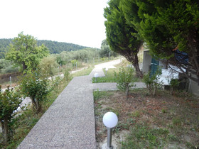 Kripis Studio Paliouri