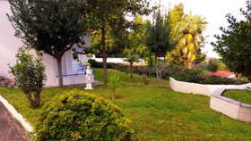 Roditsa Patritsia