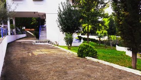 Roditsa Patritsia