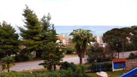 Roditsa Patritsia