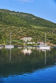 Chronos Suites