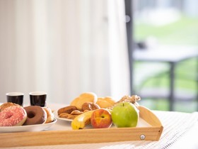 Aloe The Green Suites