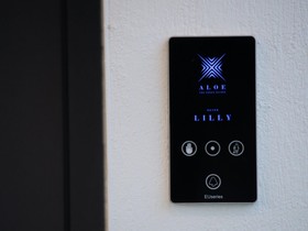 Aloe The Green Suites