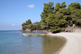 Alterra Vita