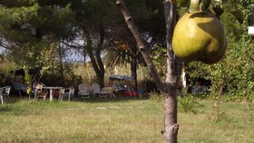 Pefka Studios & Apartments