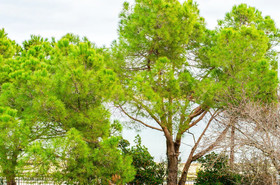 Acrotel Porto Brava Luxury Villas