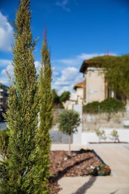 Villa Ouziel by halu! Apartments