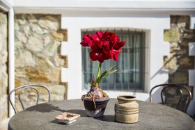 Villa Ouziel by halu! Apartments