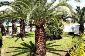 Rema Hotel