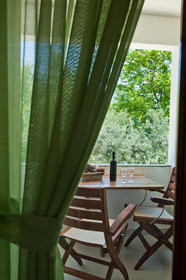 Sofia's House