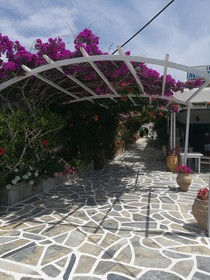 Mare Monte