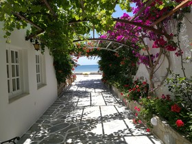 Mare Monte