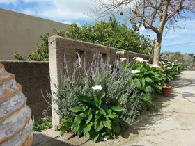 Pizania