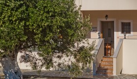 Olive Studios